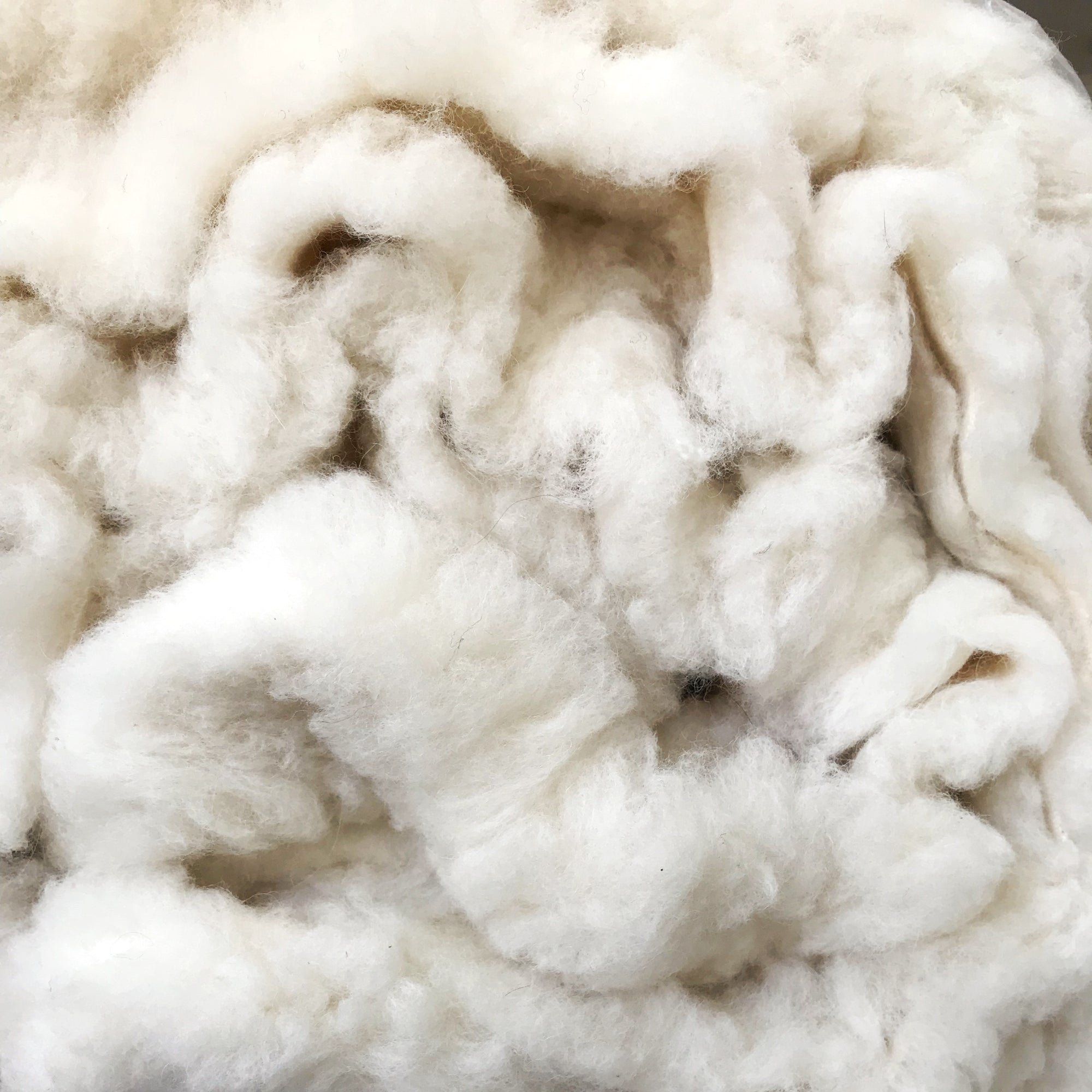 Close up detail of alpaca fur