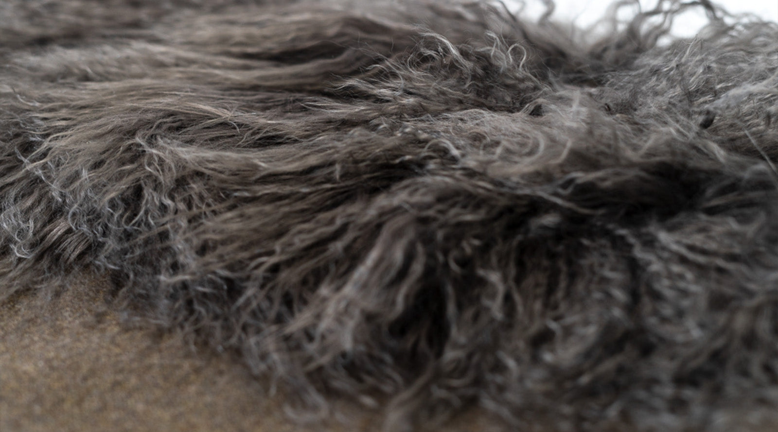ORIGINAL TEXTILES — Limited Edition