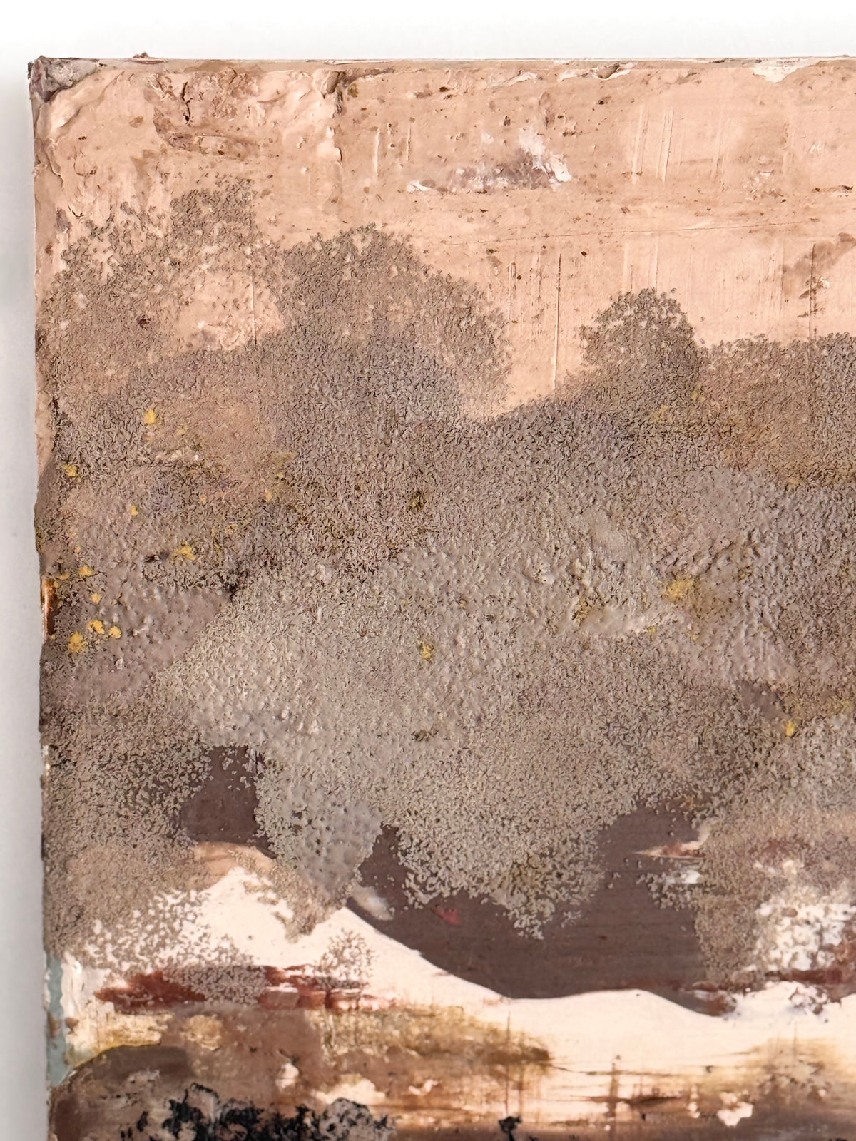Close-up detail of heavily textured encaustic surface, layered wax and pigment, ADALÉI Studio