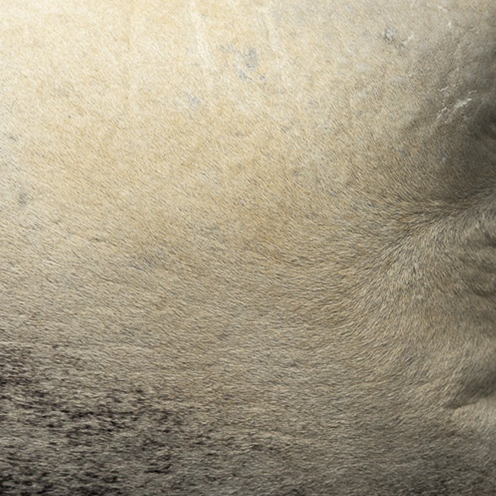 Sepia Reclaimed Hair-on-Hide Small  Pillow