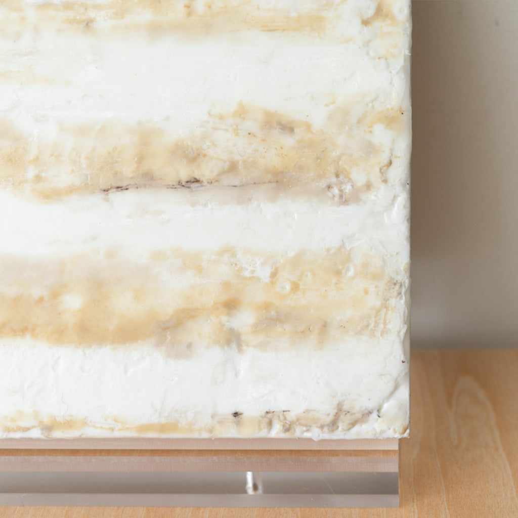 Earth Tones Study No. 1