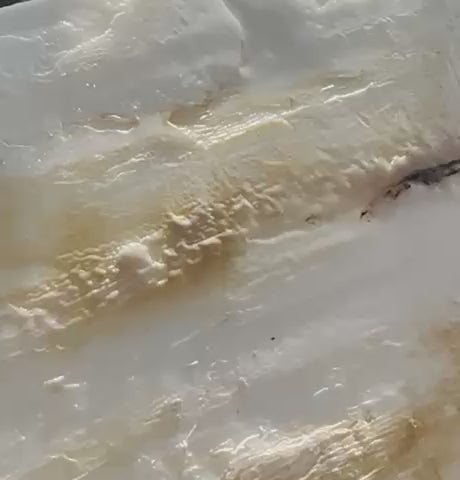 ADALEI Movie of heat gun melting wax and pigment on encaustic painting